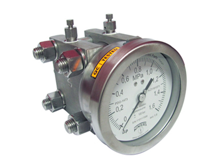 全不锈钢双膜片差压表PDD